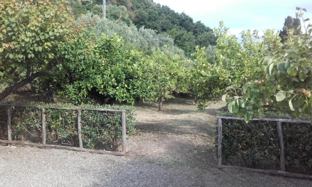 B&B Il Giardino Di Zefiro Gioiosa Marea Exterior foto