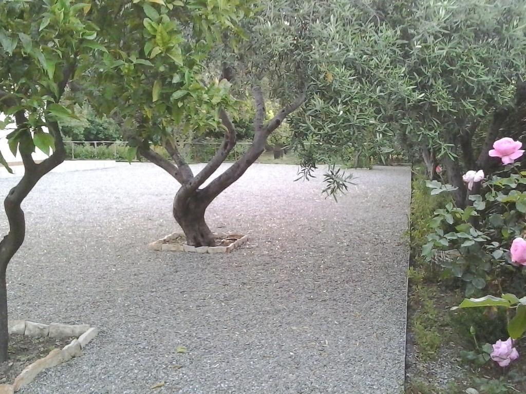 B&B Il Giardino Di Zefiro Gioiosa Marea Exterior foto